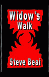 Widow Walk-by Steve Beai cover pic
