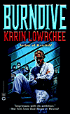 Burndive-by Karin Lowachee cover